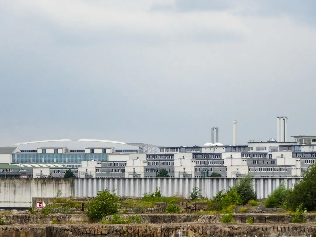 日用百货批发市场趋势:上海箜篌贸易中心家居用品供应链优化方案